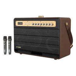 Głośnik mobilny W-KING K6L + 2 mikrofony Brązowy