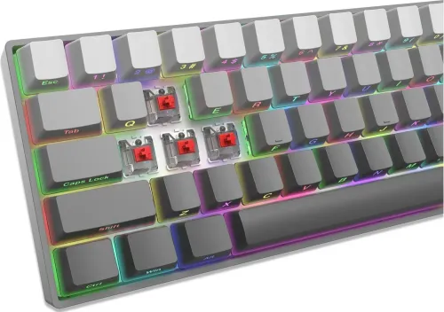 Klawiatura gamingowa White Shark Nunchaku szara Gradient Red Switch RGB Hot-Swap