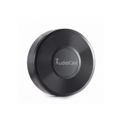 System muzyczny iEAST AudioCast M5