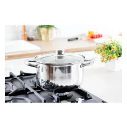 Garnek ze stali nierdzewnej z pokrywką TADAR LUZON 3 l