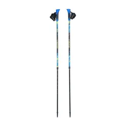 Kije do Nordic Walking Viking Ruten Pro