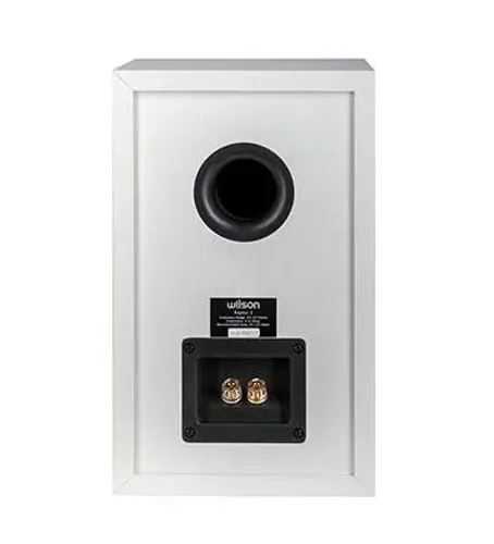 Kolumny Wilson Raptor 3 Biały 2szt.