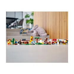 Dünya Çapında LEGO Classic 11015