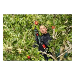 Sekator do gałęzi akumulatorowy BOSCH AdvancedPrune 18V-45 06008C5001