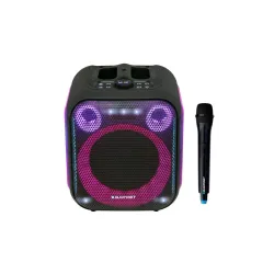 Power Audio Blaupunkt Party Box PB6LED 40W Bluetooth Radio FM Mikrofon Karaoke Czarny