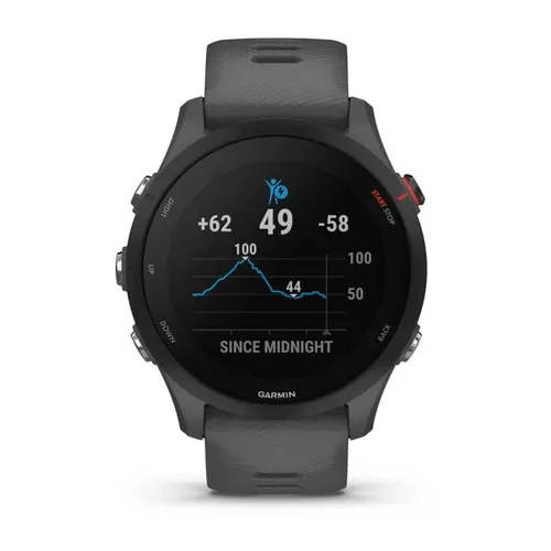 Smartwatch Garmin Forerunner 255 45mm GPS графит