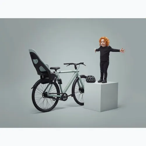 Детское велокресло THULE Yepp 2 Maxi