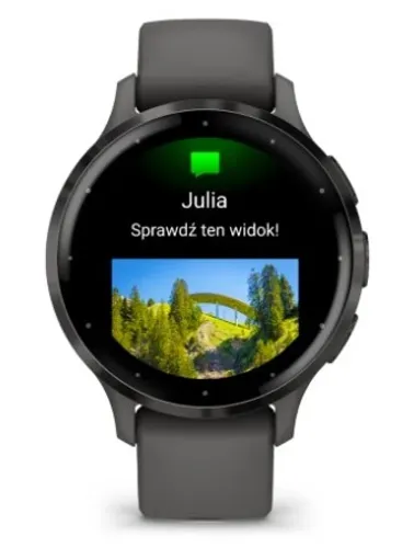 Смарт-часы Garmin Venu 3S темно-серый