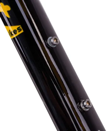 Rower dziecięcy SUN BABY Verdant Calix 20 dla chłopca Czarno-złoty