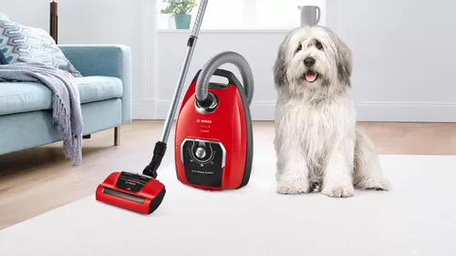 Пылесос Bosch ProAnimal bgb8pet1 650 Вт