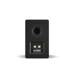 Kolumny Dali Kupid Balck Ash 2szt.