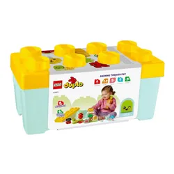 LEGO Duplo 10984 сад