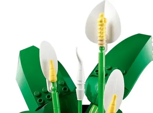 LEGO Botanicals 11504 Skrzydłokwiat