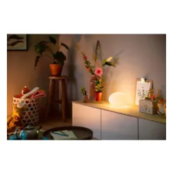Philips Hue White and Colour Ambiance Flourish