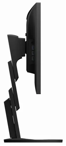 Monitor Eizo FlexScan EV2495 (czarny) 24" Full HD IPS 60Hz 5ms