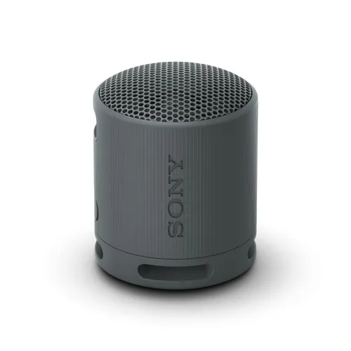 Динамик Bluetooth Sony SRS-XB100 5W черный