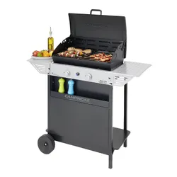 Campingaz Xpert 200 L Vario Grill ogrodowy gazowy 7.1 kW 35 cm x 55 cm