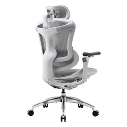 Fotel gamingowy SIHOO Doro C300 PRO Biały