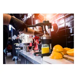 Wyciskarka do cytrusów GOCKOWIAK Verna Srebrny