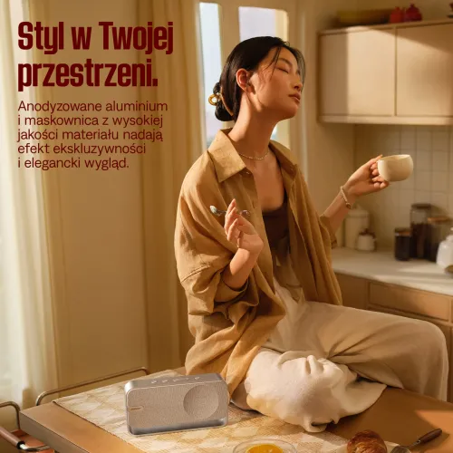 Głośnik Bluetooth Bose SoundLink Home Light Silver