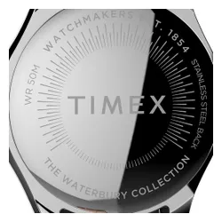 Timex The Waterbury TW2T87000 Silver saati