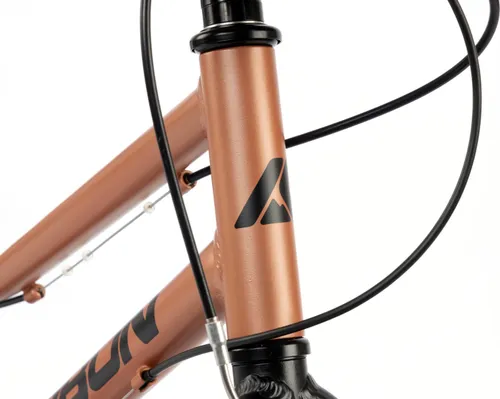 Rower dziecięcy KARBON Superlight 20 cali dla chłopca Miedziany