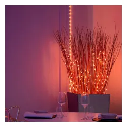Taśma LED TWINKLY Dots TWD060STP-B 3m