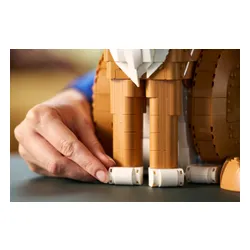 LEGO 21376 Ideas - Rudy kot