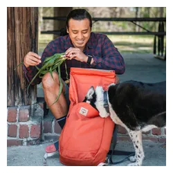 Plecak miejski Osprey Arcane Roll Top Pack 22 l porcelain orange heather
