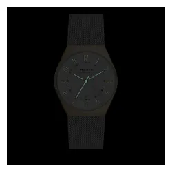 Skagen Grenen Skw6816 Gümüş Saat