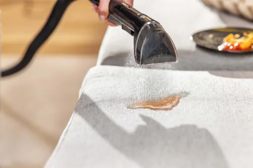 Odkurzacz Bissell PowerWash Pet 3878N