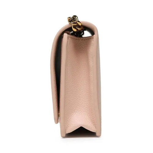 Elisabetta Franchi BS-19A-31e2-v260 Carne 181 bag