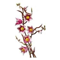 LEGO Botanicals 11510 Gałązki magnolii