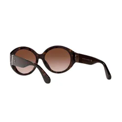 Солнцезащитные очки Lauren Ralph Lauren 0rl8191 500313 Brown / Brown