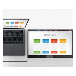Monitor ZENWIRE M8P 15.6" 1920x1080px IPS
