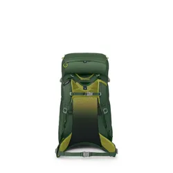 Plecak turystyczny dla dziecka Osprey Ace 38 - green canopy