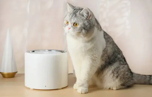 Fontanna dla zwierząt PETKIT Eversweet Wireless SUS304