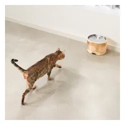 Fontanna dla zwierząt ENABOT Rola Fountain