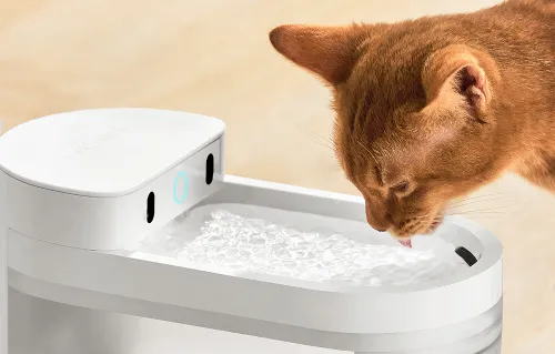 Fontanna dla zwierząt CATLINK Pure 3 CL-WB-01
