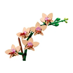 LEGO Botanical Collection 10343 Mała orchidea