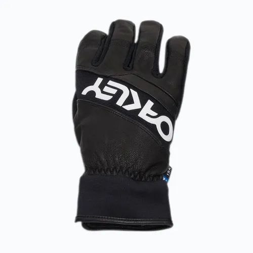 Rękawice narciarskie męskie Oakley Factory Winter Gloves 2.0 blackout