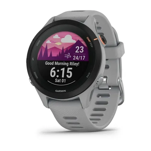 Smartwatch Garmin Forerunner 255s 41MM GPS серый