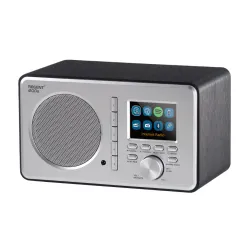 Radioodbiornik Ferguson Regent i200s Radio FM Internetowe Bluetooth Szary
