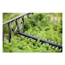 Триммер для живой изгороди Bosch UniversalHedgeCut 18V-50