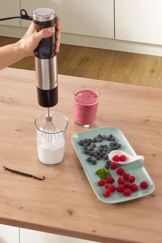 Blender GORENJE HBX1000EB