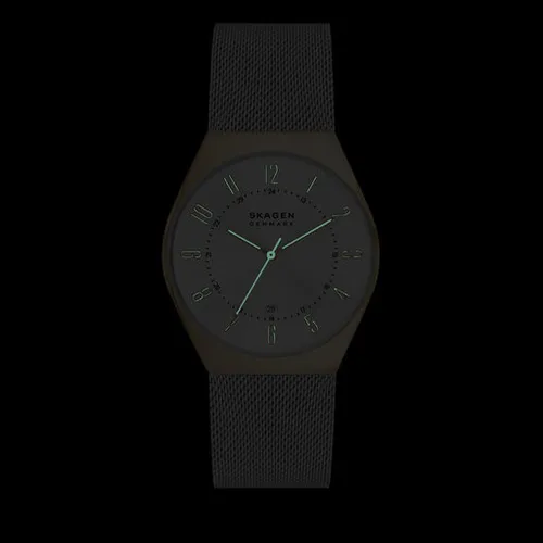 Skagen Grenen Skw6816 Gümüş Saat