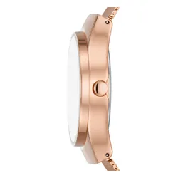 Skagen Sol Skw3023 Rose Gold / Rose Gold Saatler