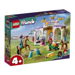 Конструктор LEGO Friends 41746 обучение лошадей