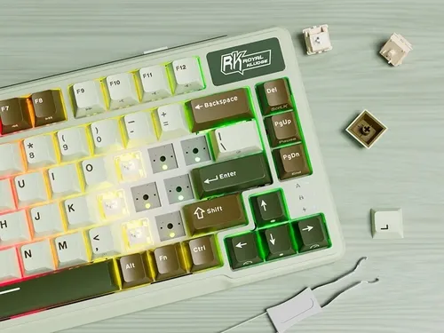 Klawiatura ROYAL KLUDGE L75 Palm Green Beige Switch