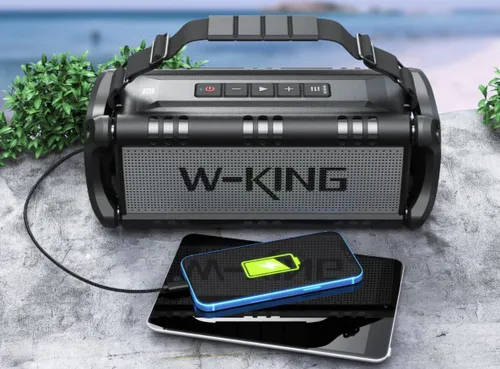 Głośnik mobilny W-KING D8 Czarno-srebrny